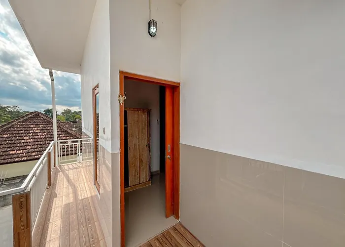 Vins Family